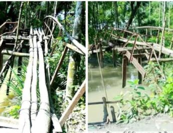 রাজাপুরে আয়রন ব্রীজ ভেঙ্গে যাওয়ায় ত্রিশ বছর কষ্ট করছেন দুই গ্রামের মানুষ “জনপ্রতিনিধিদের আশ্বাসেই সীমাবদ্ধ দুই গ্রামের মানুষের উন্নয়ন”।